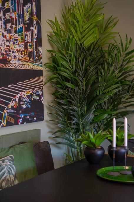 Super Anadia - Olive Apartment Funchal  Bagian luar foto